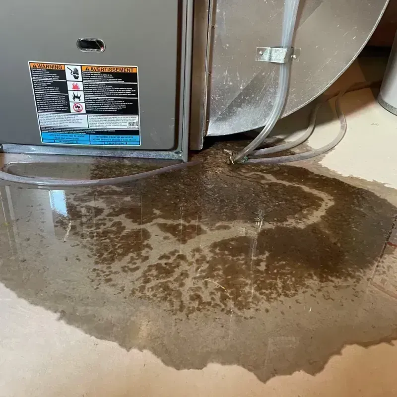 Appliance Leak Cleanup in Maries County, MO